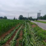 Agricultural Vandalism – Dover Township