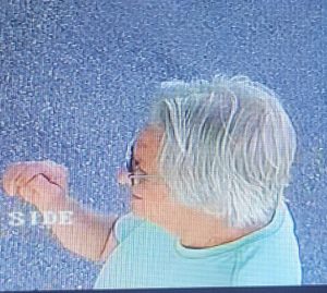 No Injury Hit and Run – Dover Township